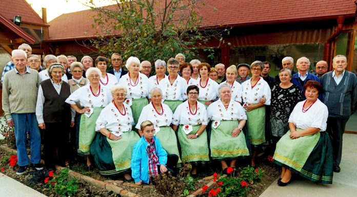 Vukovári Magyarok Egyesülete, Vukovár