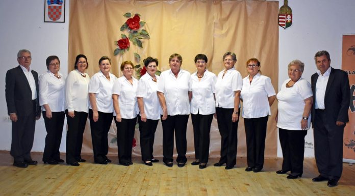 Vinkovcei Magyar Kultúregyesület, Vinkovce