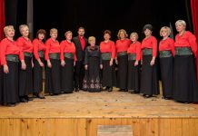 Daruvári Magyarok Egyesülete, Daruvár