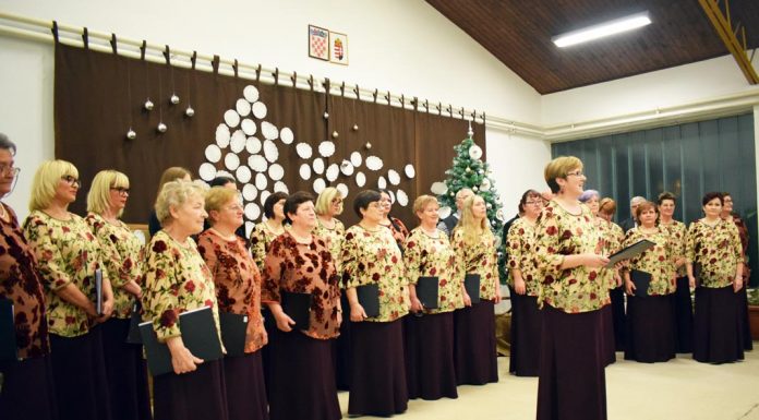 Petőfi Sándor Magyar Művelődési Egyesület, Laskó
