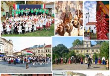 Jankovics: A 2020-as állami költségvetés közösségünkre vonatkozó része optimizmussal tölt el bennünket