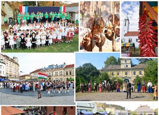 Jankovics: A 2020-as állami költségvetés közösségünkre vonatkozó része optimizmussal tölt el bennünket