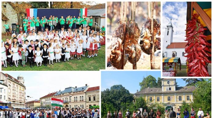 Jankovics: A 2020-as állami költségvetés közösségünkre vonatkozó része optimizmussal tölt el bennünket