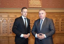 Jankovics: „Szijjártó miniszter úr egyértelművé tette, hogy a magyar kormány támogatására mindig számíthatunk”