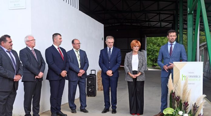 Újabb beruházások Magyarország kormányának köszönhetően