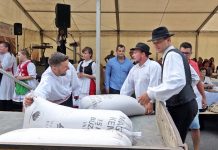 Búza-adományozási ünnep a HMDK Gazdakörének szervezésében