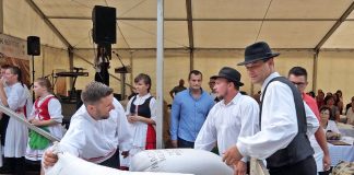Búza-adományozási ünnep a HMDK Gazdakörének szervezésében