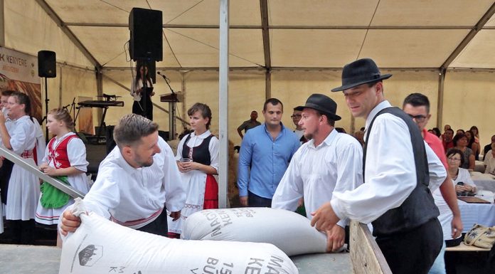 Búza-adományozási ünnep a HMDK Gazdakörének szervezésében